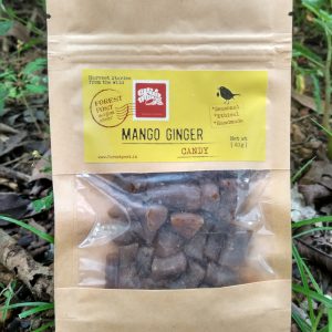 Mango Ginger Candy