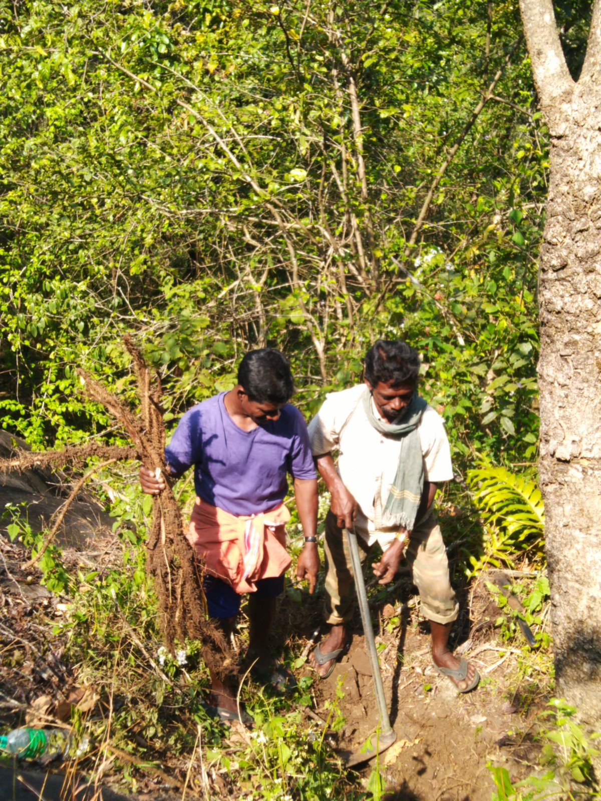 A HARVEST OF WINTER WILDS