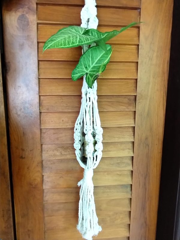 Macramé Planter MP-Duo