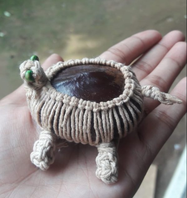 Macramé Turtle