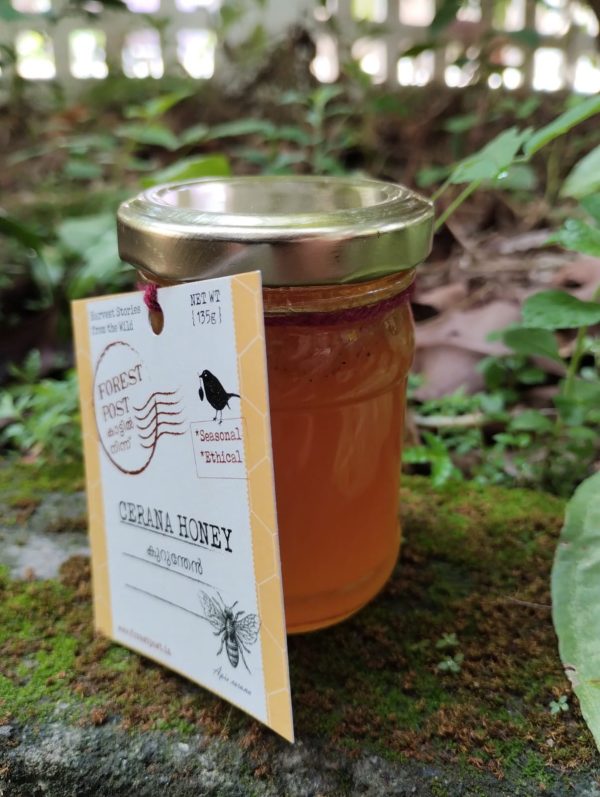 Wild Cerana Honey