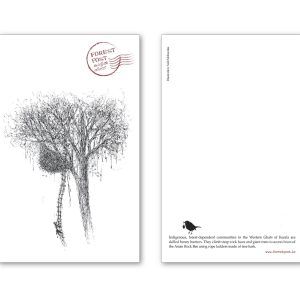 Postcard: Honey harvest