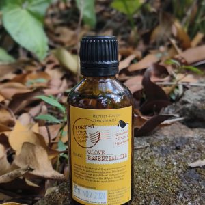 Clove Essential Oil