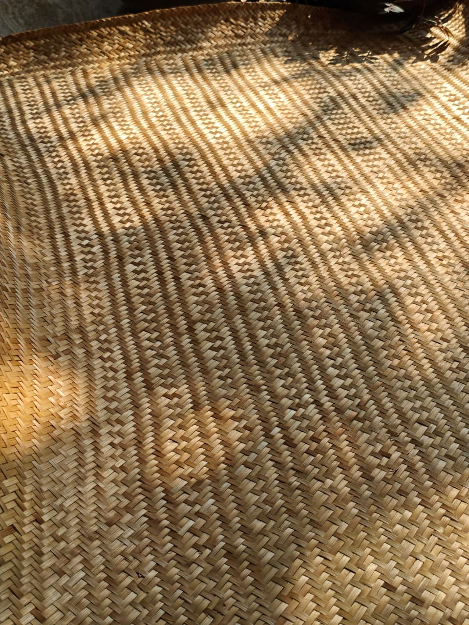 Kannadi Paaya (37"x72") Sera Pattern