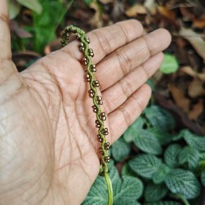 Macramé Anklet (Pista green) Creeper pattern