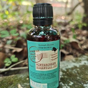 Wintergreen Essential Oil 50ml