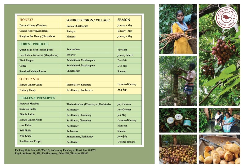 A Calendar of Wild Foods