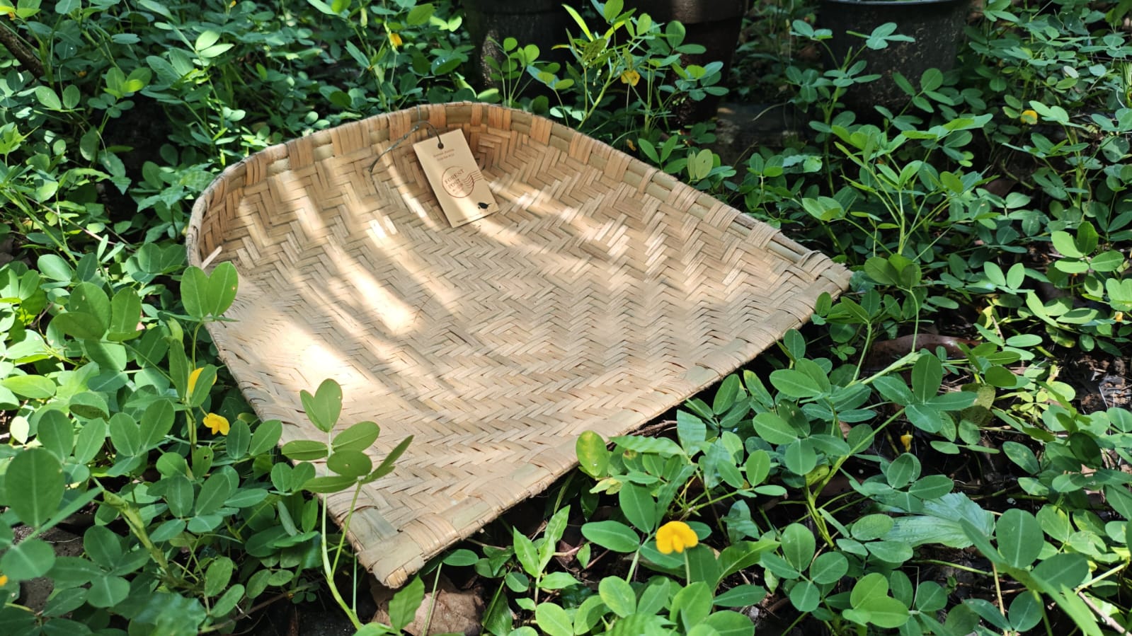 Open Bamboo Winnow - 11" x 11"
